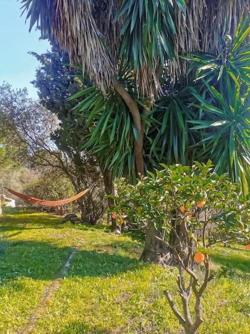 Sombrerocordobe Villa Kordoba Bagian luar foto