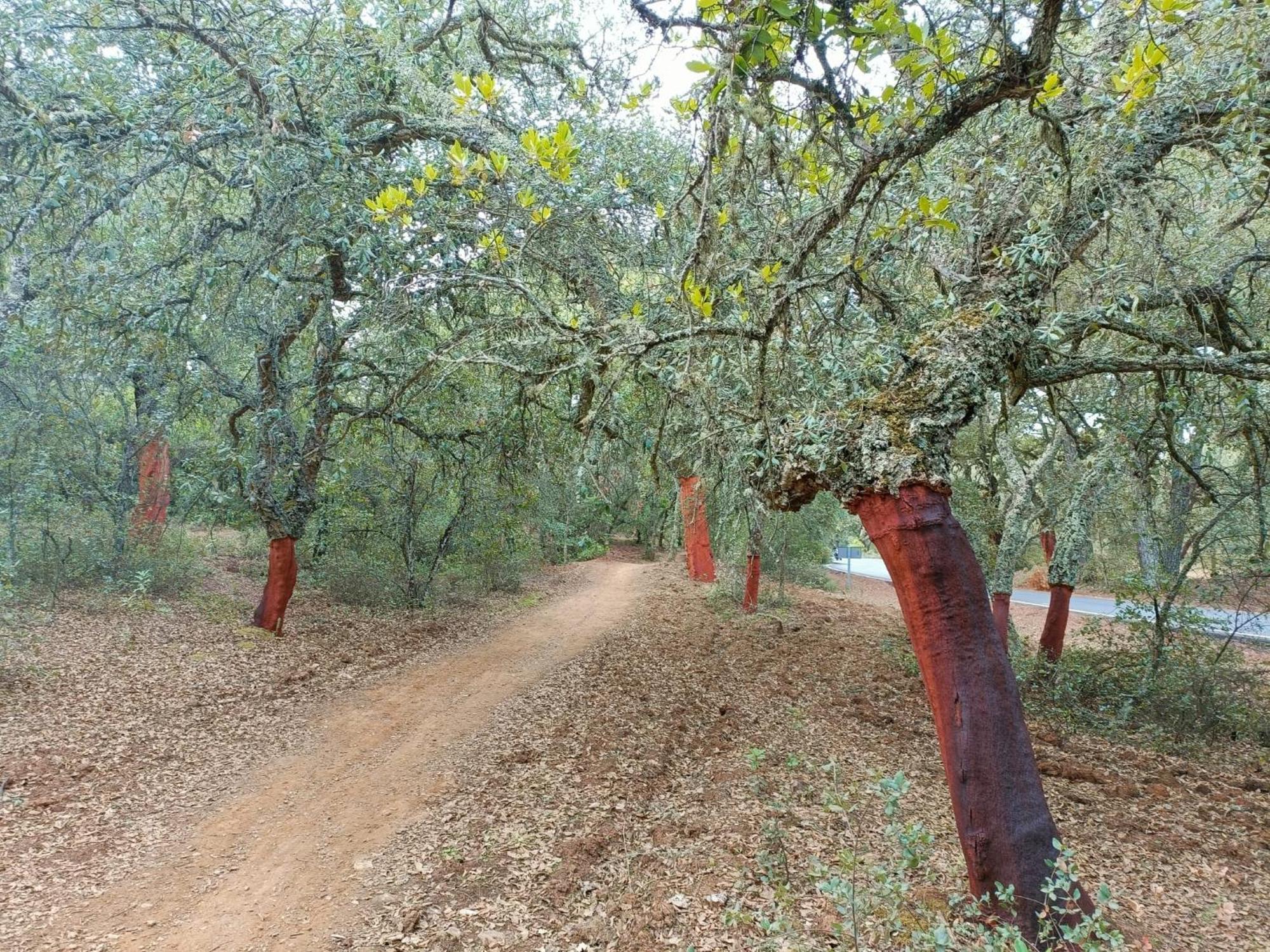 Sombrerocordobe Villa Kordoba Bagian luar foto